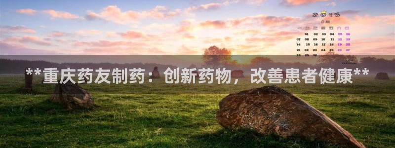 九游会老哥：**重庆药友制药：创新药物，改善患者健康**