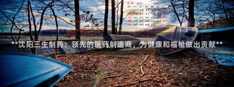九游老哥俱乐部官网登录入口：**沈阳三生制药：领先的医药制造商，为健康和福祉做出贡献**