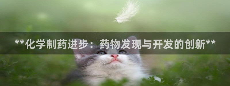 老哥俱乐部是干什么的啊：**化学制药进步：药物发现与开发的创新**