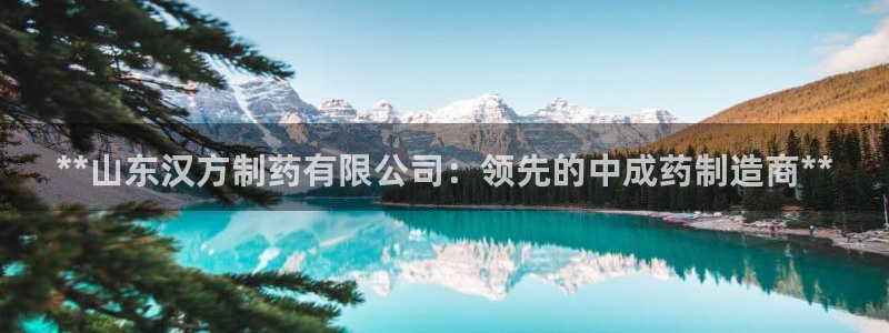 9游会老哥俱乐部：**山东汉方制药有限公司：领先的中成药制造商**