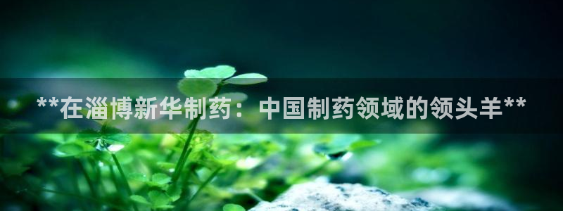 老哥俱乐部是干什么的：**在淄博新华制药：中国制药领域的领头羊**