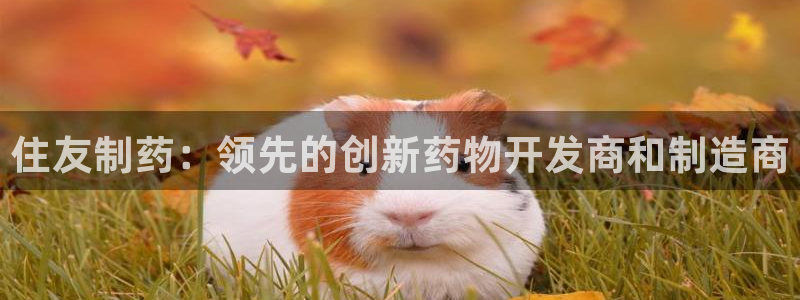 老哥吧九游会下架吗：住友制药：领先的创新药物开发商和制造商