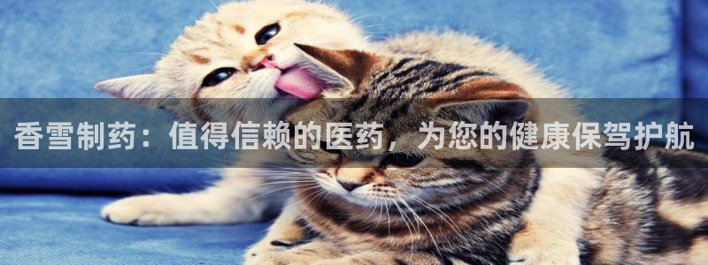 九游会老哥必备的交流社区：香雪制药：值得信赖的医药，为您的健康保驾护航