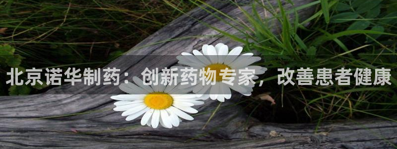 九游会老哥俱乐部社区论坛：北京诺华制药：创新药物专家，改善患者健康