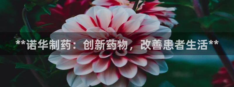 九游老哥俱乐部官网登录不了：**诺华制药：创新药物，改善患者生活**