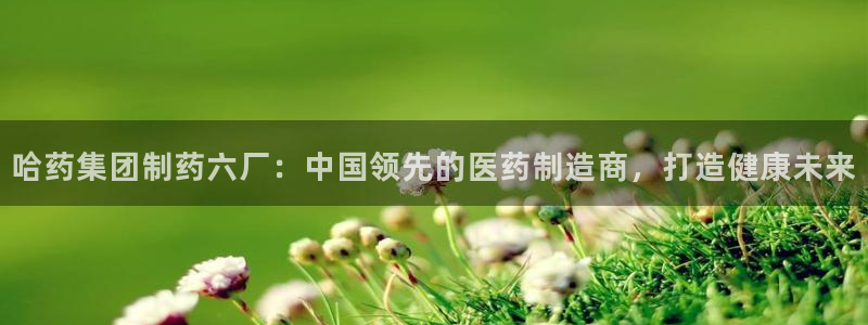 九游会老哥必备的交流社区九：哈药集团制药六厂：中国领先的医药制造商，打造健康未来