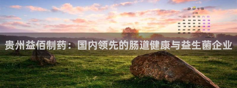 ag九游会老哥：贵州益佰制药：国内领先的肠道健康与益生菌企业