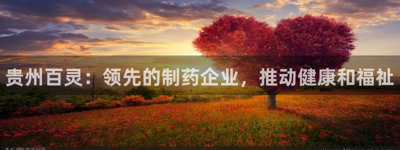 九游会老哥：贵州百灵：领先的制药企业，推动健康和福祉