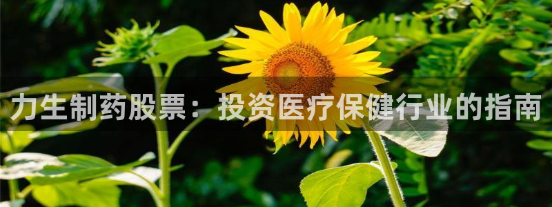 九游老哥俱乐部官网登录不了：力生制药股票：投资医疗保健行业的指南