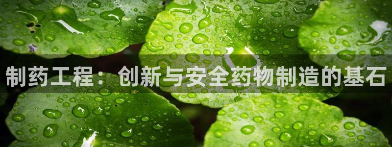 九游老哥俱乐部官网登录网址：制药工程：创新与安全药物制造的基石