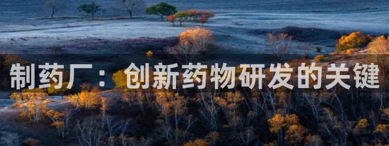 ag九游老哥俱乐部：制药厂：创新药物研发的关键