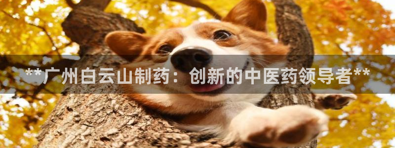 老哥吧九游会：**广州白云山制药：创新的中医药领导者**