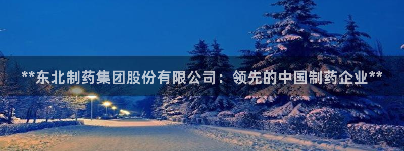 老哥吧九游会：**东北制药集团股份有限公司：领先的中国制药企业**