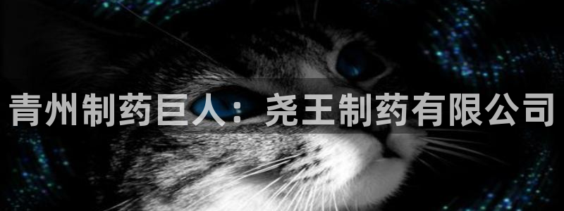 九游会老哥俱乐部官网首页：青州制药巨人：尧王制药有限公司