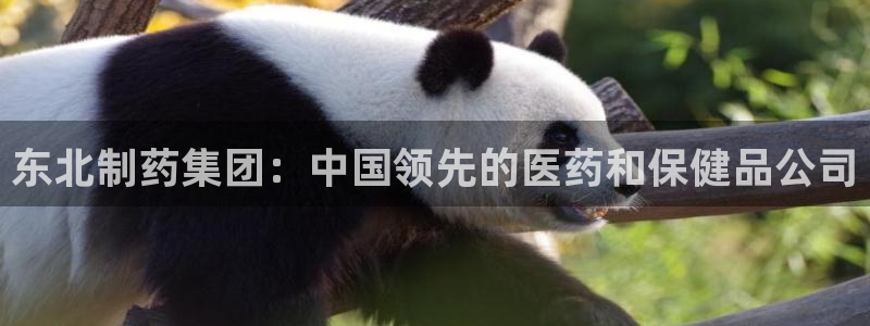 老哥吧九游会下架吗：东北制药集团：中国领先的医药和保健品公司