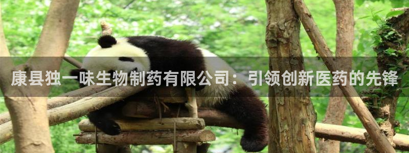 九游会老哥俱乐部官网首页论坛：康县独一味生物制药有限公司：引领创新医药的先锋