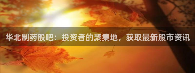 九游老哥俱乐部登录：华北制药股吧：投资者的聚集地，获取最新股市资讯