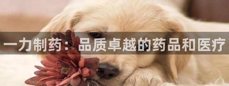 九游老哥俱乐部官网登录入口：一力制药：品质卓越的药品和医疗