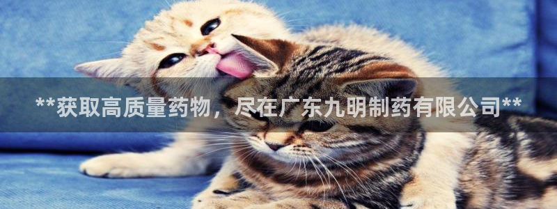 九游会老哥俱乐部论坛版：**获取高质量药物，尽在广东九明制药有限公司**