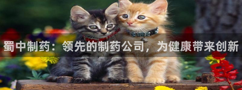 九游会老哥俱乐部官方网站：蜀中制药：领先的制药公司，为健康带来创新