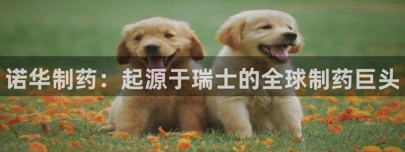 老哥吧九游会：诺华制药：起源于瑞士的全球制药巨头