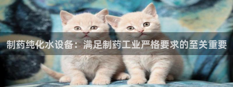 九游老哥俱乐部官网登录网址：制药纯化水设备：满足制药工业严格要求的至关重要