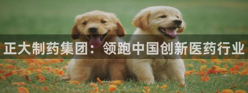 ag九游老哥俱乐部：正大制药集团：领跑中国创新医药行业