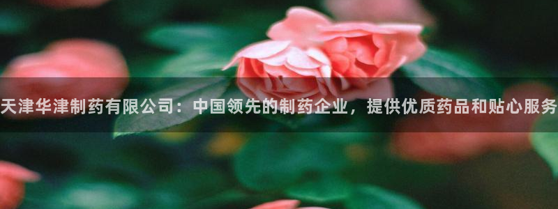 九游老哥俱乐部官网登录不了：天津华津制药有限公司：中国领先的制药企业，提供优质药品和贴心服务