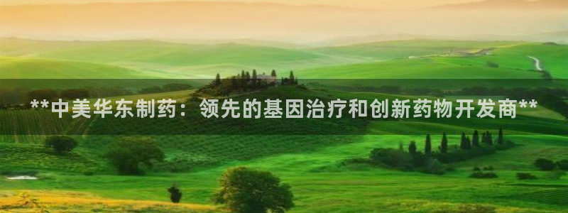 九游会老哥俱乐部官网首页：**中美华东制药：领先的基因治疗和创新药物开发商**