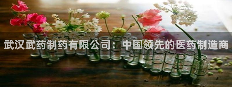 九游会老哥俱乐部官网首页论坛：武汉武药制药有限公司：中国领先的医药制造商