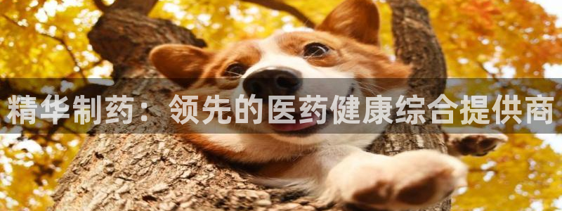 九游会老哥俱乐部社区论坛：精华制药：领先的医药健康综合提供商