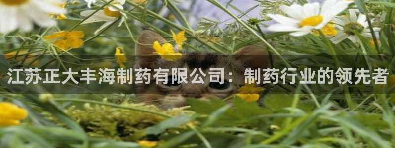 九游会老哥：江苏正大丰海制药有限公司：制药行业的领先者