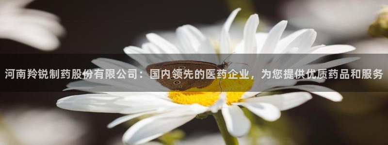 九游老哥俱乐部官网登录网址：河南羚锐制药股份有限公司：国内领先的医药企业，为您提供优质药品和服务