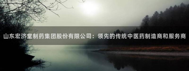 九游会老哥必备的交流社区：山东宏济堂制药集团股份有限公司：领先的传统中医药制造商和服务商