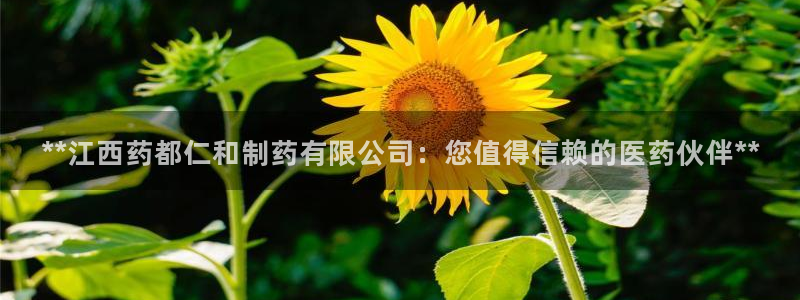 9游会老哥俱乐部：**江西药都仁和制药有限公司：您值得信赖的医药伙伴**