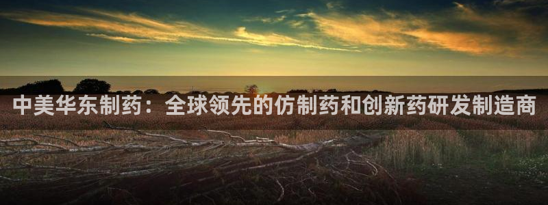 九游老哥俱乐部官网登录不了：中美华东制药：全球领先的仿制药和创新药研发制造商
