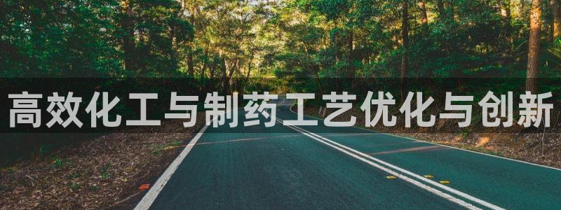 九游会老哥俱乐部官网首页：高效化工与制药工艺优化与创新