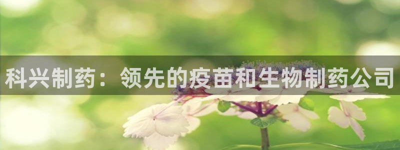 九游会老哥俱乐部社区论坛：科兴制药：领先的疫苗和生物制药公司