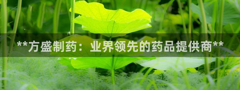 九游会老哥俱乐部交流社区：**方盛制药：业界领先的药品提供商**