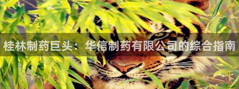 老哥吧九游会：桂林制药巨头：华信制药有限公司的综合指南