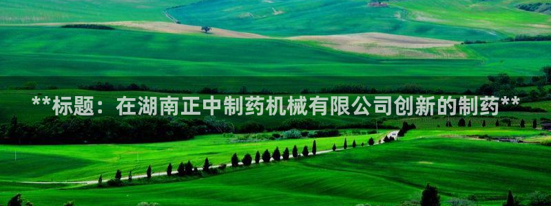 老哥吧九游会：**标题：在湖南正中制药机械有限公司创新的制药**