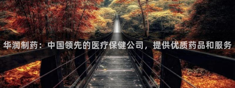 九游会老哥俱乐部必备的交流社区：华润制药：中国领先的医疗保健公司，提供优质药品和服务