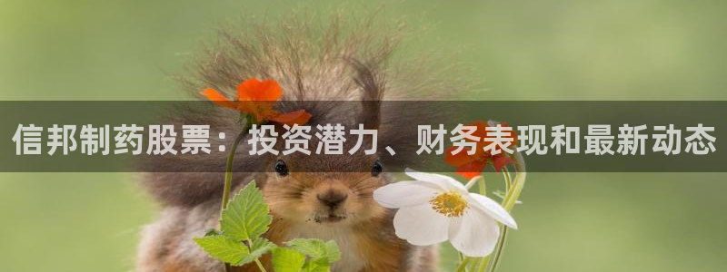 九游会老哥：信邦制药股票：投资潜力、财务表现和最新动态