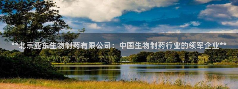 九游老哥俱乐部官网登录：**北京亚东生物制药有限公司：中国生物制药行业的领军企业**