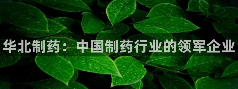 九游会老哥俱乐部官网首页：华北制药：中国制药行业的领军企业