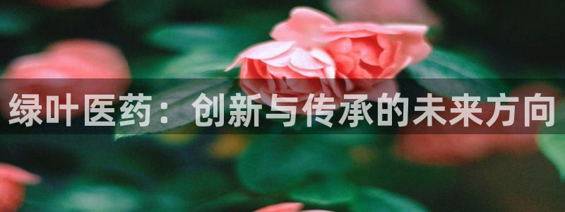 九游会老哥俱乐部论坛版：绿叶医药：创新与传承的未来方向