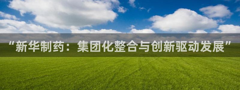 ag九游老哥俱乐部：“新华制药：集团化整合与创新驱动发展”