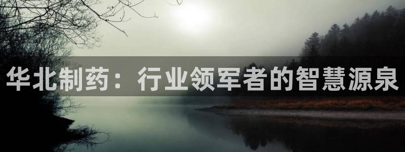 j9九游会老哥俱乐部交流区：华北制药：行业领军者的智慧源泉