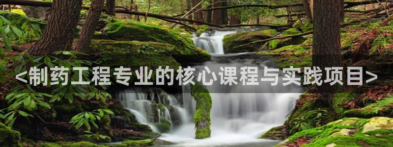 老哥俱乐部是干什么的