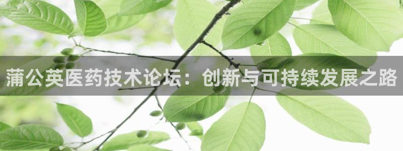 九游会老哥俱乐部论坛版：蒲公英医药技术论坛：创新与可持续发展之路